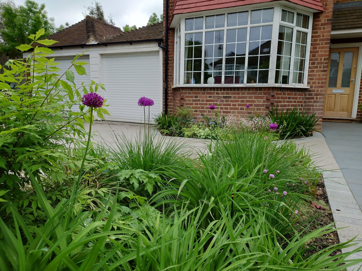 Front driveway - Blackheath