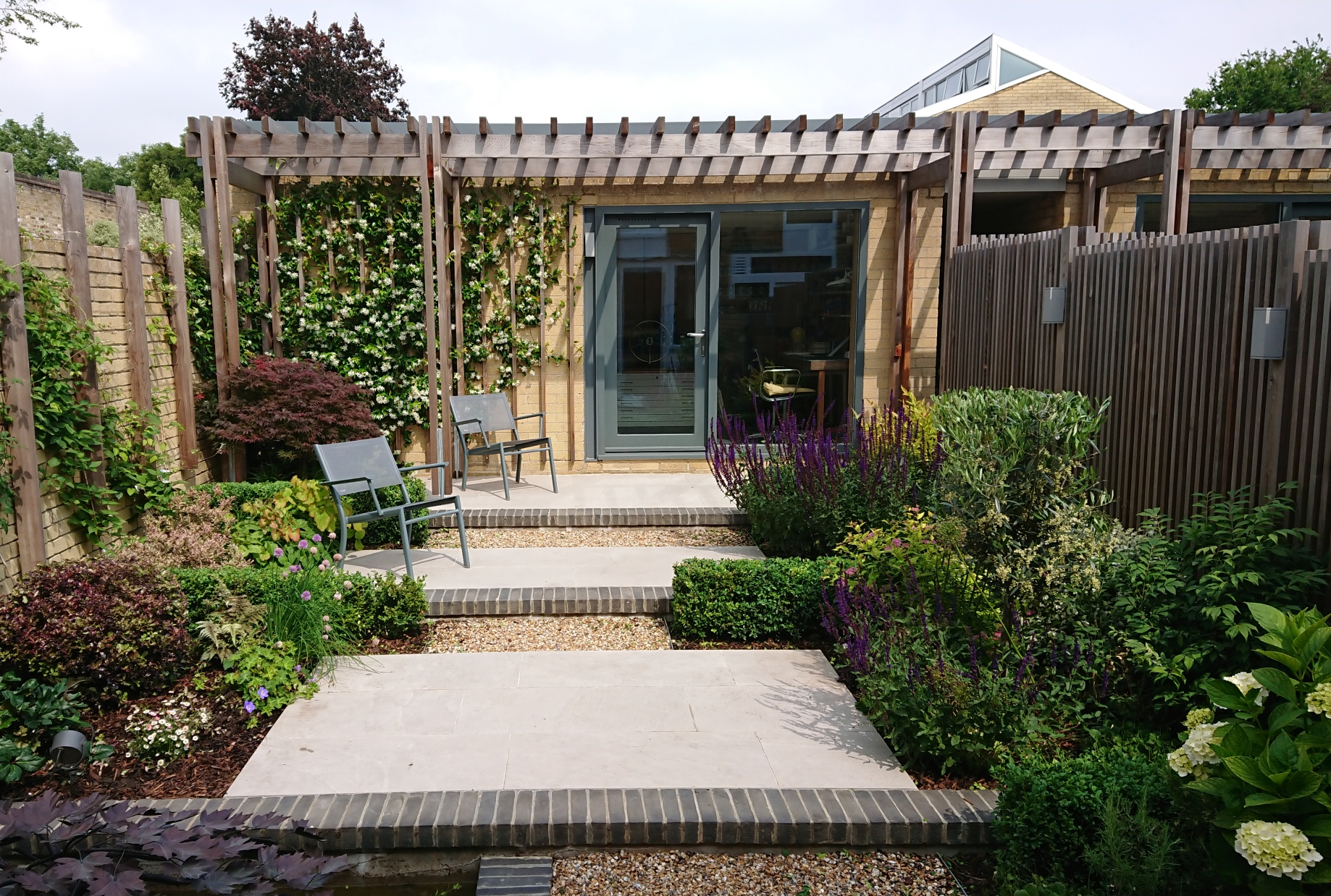 Modern garden - Blackheath