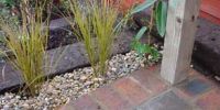 Low maintenance gardening