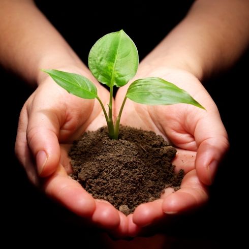 Why choose us to design your garden?
