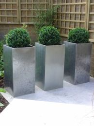 White Minimalist Garden - Blackheath