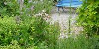 Drought Tolerant Planting