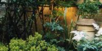 Architectural Salvage