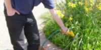Watering